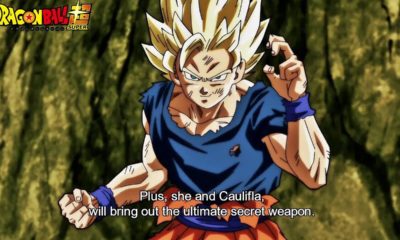 Dragon Ball Super Season 1 Episode 114 "Bloodcurdling! The Explosive Birth of a New Super Warrior!" English Dub - Pictured: Goku - Screenshot / Photo Credit: Toei Animation